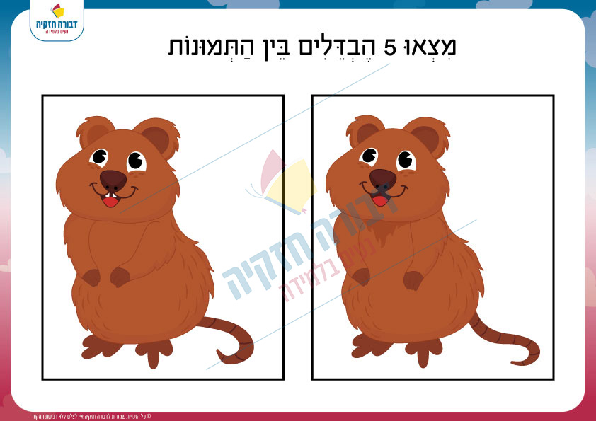 מצא את ההבדלים- דוב - דבורה חזקיה