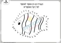 דף תרגול ברצף מספרים- דג 2