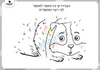 דף תרגול ברצף מספרים- חיה