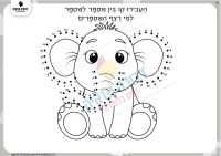 רצף מספרים פיל