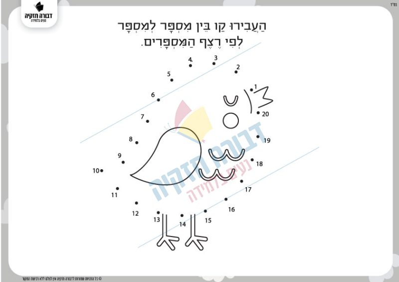 רצף מספרים ציפור