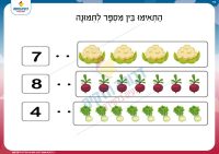 מנייה מתיחת קו 11
