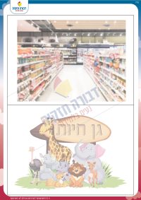 משחק קריאה קטגוריות