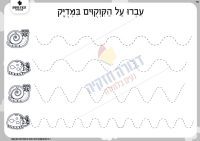 מעבר על קווקווים חילזון