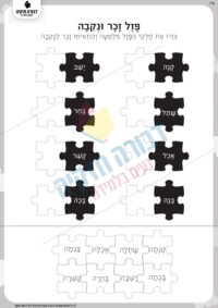 משחק פאזל זכר ונקבה