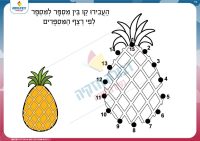 רצף מספרים- אננס