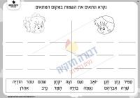 דף עבודה שמות בנים ובנות בחולם