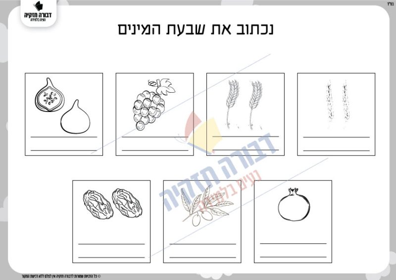 כתיבת שבעת  המינים