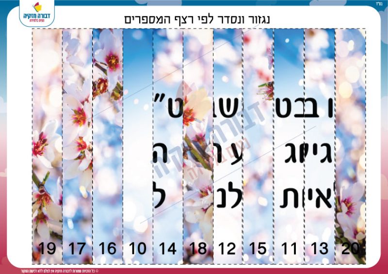רצף מספרים
