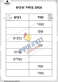 דף עבודה יחיד ורבים