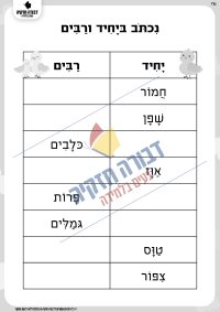 דף עבודה יחיד ורבים ללא שווא