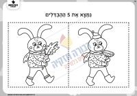 מצא את ההבדלים- שפן וגזר