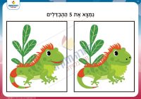 מצא את ההבדלים- חיות