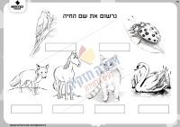 נכתוב את שמות החיות