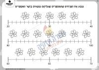 ישר המספרים בתחום המאה