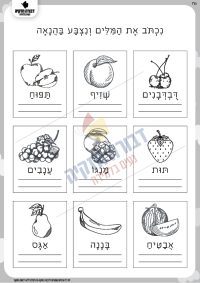 תרגול בכתב עגול