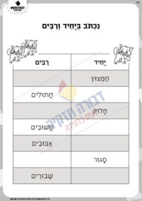 יחיד ורבים סיומת אִים