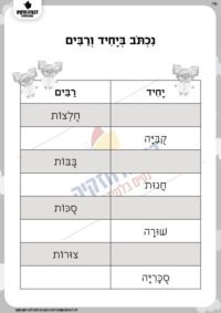 דף תרגול יחיד ורבים בסיומת Xות