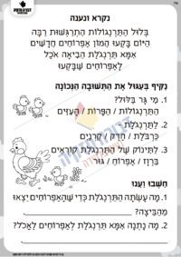 איתור פרטים בטקסט