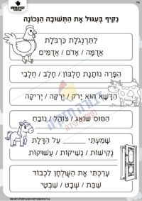 דיוק בקריאה