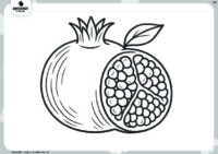 דף צביעה- רימון