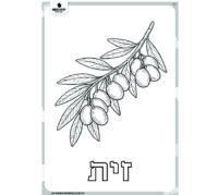 דף צביעה לט"ו בשבט- שבעת המינים זית