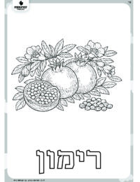 דף צביעה לט"ו בשבט- שבעת המינים רימון