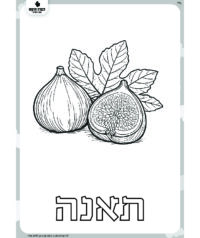דף צביעה לט"ו בשבט- שבעת המינים תאנה