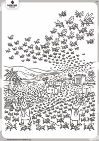 דף צביעה מכת ארבה