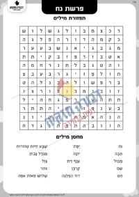 תפזורת לפרשת נח